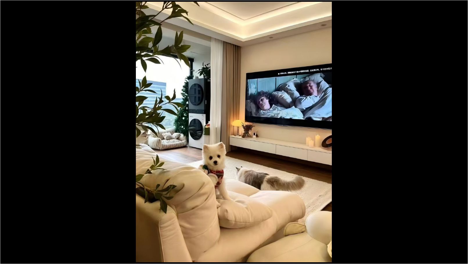 50d1b069ce1c41136e8cadedc06eb0e(1)